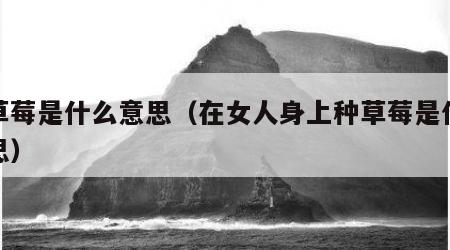 种草莓是什么意思（在女人身上种草莓是什么意思）