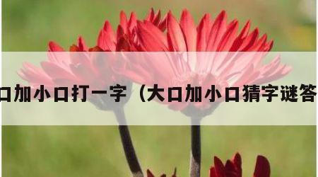 大口加小口打一字（大口加小口猜字谜答案）
