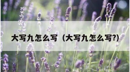 大写九怎么写（大写九怎么写?）