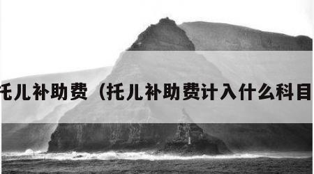 托儿补助费（托儿补助费计入什么科目）