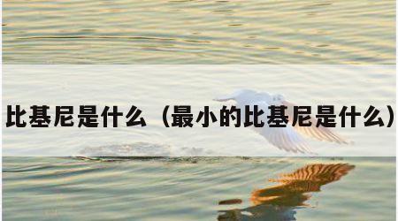 比基尼是什么（最小的比基尼是什么）