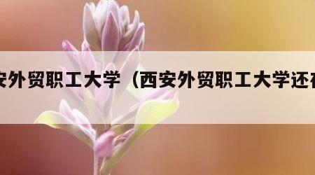 西安外贸职工大学（西安外贸职工大学还在吗）