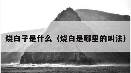 烧白子是什么（烧白是哪里的叫法）