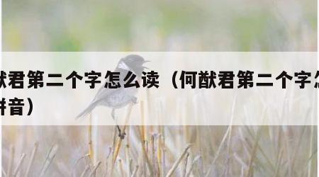 何猷君第二个字怎么读（何猷君第二个字怎么读拼音）