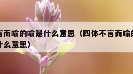 不言而喻的喻是什么意思（四体不言而喻的喻是什么意思）