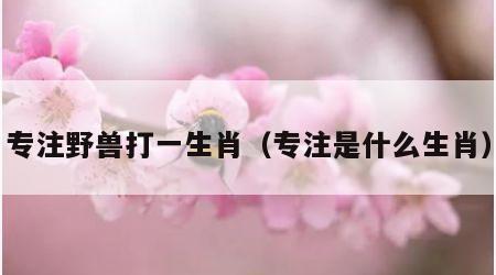 专注野兽打一生肖（专注是什么生肖）