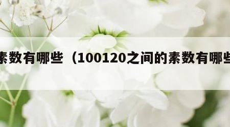 素数有哪些（100120之间的素数有哪些）