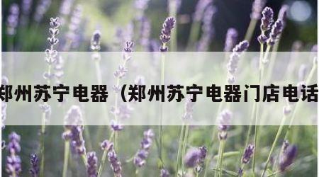 郑州苏宁电器（郑州苏宁电器门店电话）
