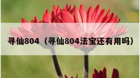 寻仙804（寻仙804法宝还有用吗）