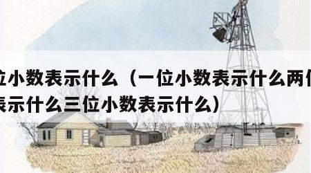 一位小数表示什么（一位小数表示什么两位小数表示什么三位小数表示什么）