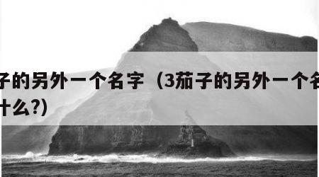 茄子的另外一个名字（3茄子的另外一个名字叫什么?）