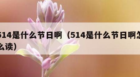 514是什么节日啊（514是什么节日啊怎么读）