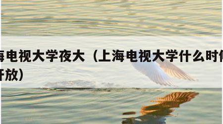 上海电视大学夜大（上海电视大学什么时候改成开放）