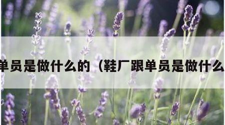 跟单员是做什么的（鞋厂跟单员是做什么的）