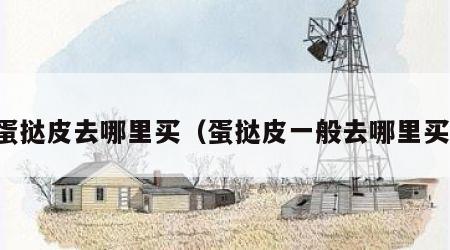 蛋挞皮去哪里买（蛋挞皮一般去哪里买）