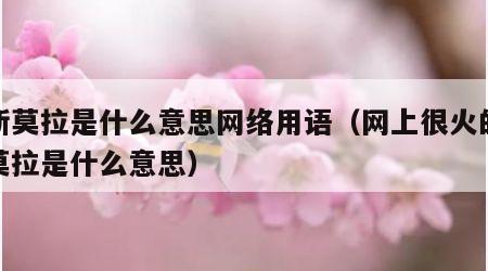 耶斯莫拉是什么意思网络用语（网上很火的耶斯莫拉是什么意思）