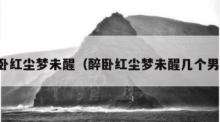 醉卧红尘梦未醒（醉卧红尘梦未醒几个男主）