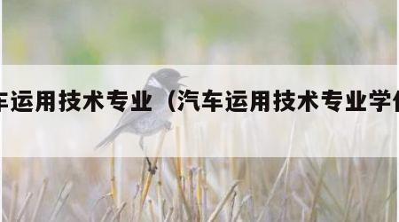 汽车运用技术专业（汽车运用技术专业学什么）