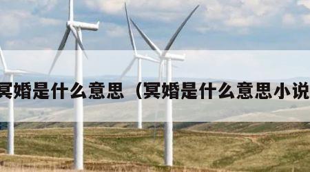 冥婚是什么意思（冥婚是什么意思小说）
