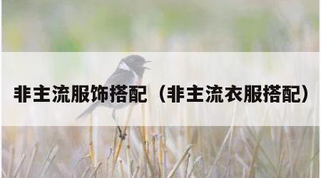 非主流服饰搭配（非主流衣服搭配）