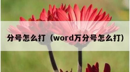 分号怎么打（word万分号怎么打）