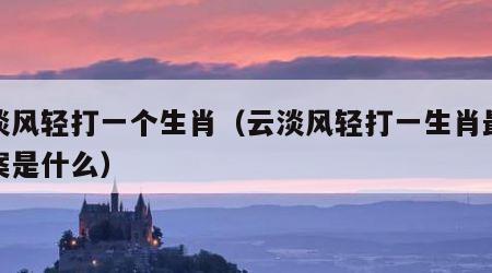 云淡风轻打一个生肖（云淡风轻打一生肖最佳答案是什么）
