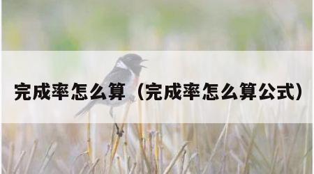 完成率怎么算（完成率怎么算公式）