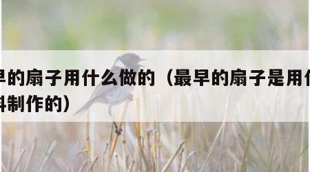 最早的扇子用什么做的（最早的扇子是用什么材料制作的）