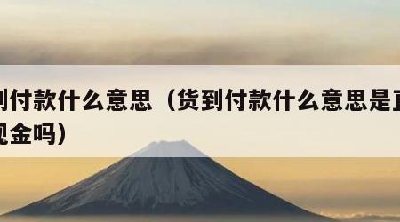 货到付款什么意思（货到付款什么意思是直接付现金吗）