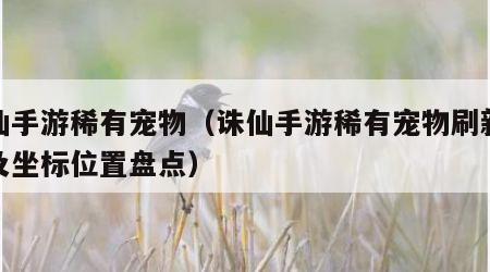 诛仙手游稀有宠物（诛仙手游稀有宠物刷新时间及坐标位置盘点）