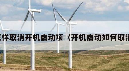 怎样取消开机启动项（开机启动如何取消）