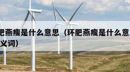 环肥燕瘦是什么意思（环肥燕瘦是什么意思? 近义词）