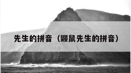 先生的拼音（鼹鼠先生的拼音）