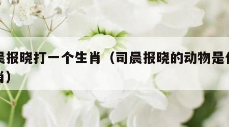 司晨报晓打一个生肖（司晨报晓的动物是什么生肖）