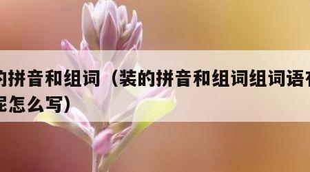 装的拼音和组词（装的拼音和组词组词语有哪些呢怎么写）