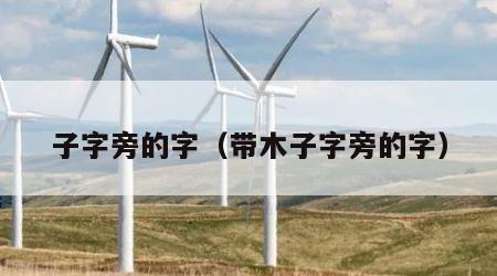 子字旁的字（带木子字旁的字）