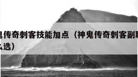 神鬼传奇刺客技能加点（神鬼传奇刺客副职业怎么选）