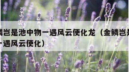 金麟岂是池中物一遇风云便化龙（金鳞岂是池物一遇风云便化）