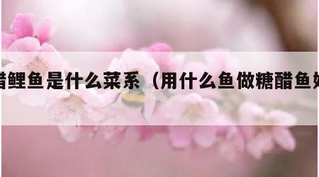 糖醋鲤鱼是什么菜系（用什么鱼做糖醋鱼好吃）