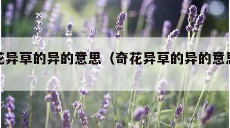 奇花异草的异的意思（奇花异草的异的意思解释）