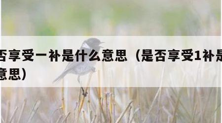 是否享受一补是什么意思（是否享受1补是什么意思）