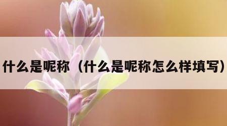 什么是呢称（什么是呢称怎么样填写）