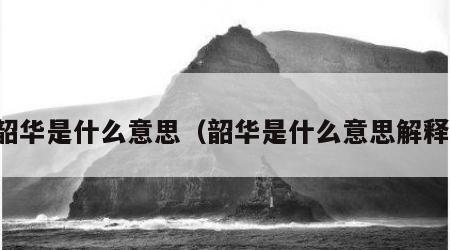 韶华是什么意思（韶华是什么意思解释）