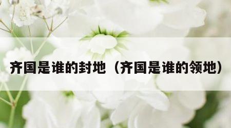 齐国是谁的封地（齐国是谁的领地）