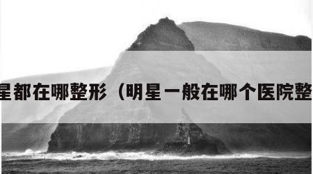 明星都在哪整形（明星一般在哪个医院整容）