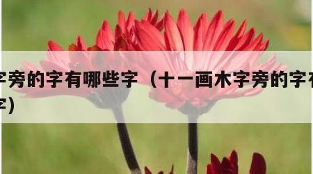 木字旁的字有哪些字（十一画木字旁的字有哪些字）