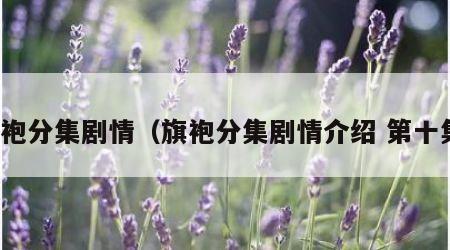 旗袍分集剧情（旗袍分集剧情介绍 第十集）
