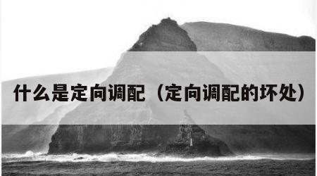 什么是定向调配（定向调配的坏处）