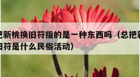 总把新桃换旧符指的是一种东西吗（总把新桃换旧符是什么民俗活动）