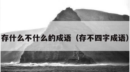 存什么不什么的成语（存不四字成语）